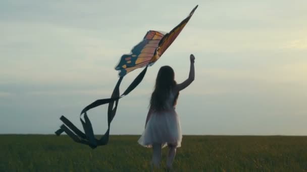 Dziewczyna biegają z latawcem na polu. Pojęcie wolności. — Wideo stockowe