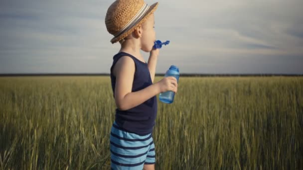 Little boy blowing soap bubbles in summer field background — Stock Video