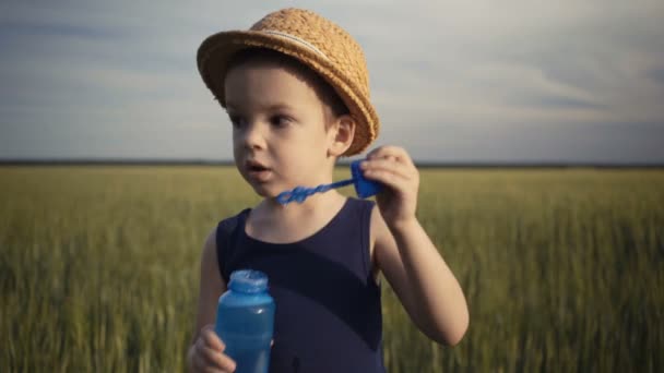 Jongetje blazen van zeepbellen in de achtergrond van een veld de zomer — Stockvideo