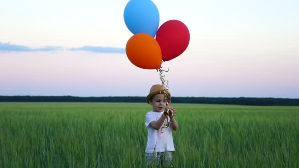 二年的男孩站立在领域和释放气球入天空 — 图库视频影像