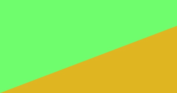 animation colorée transition lumineuse 