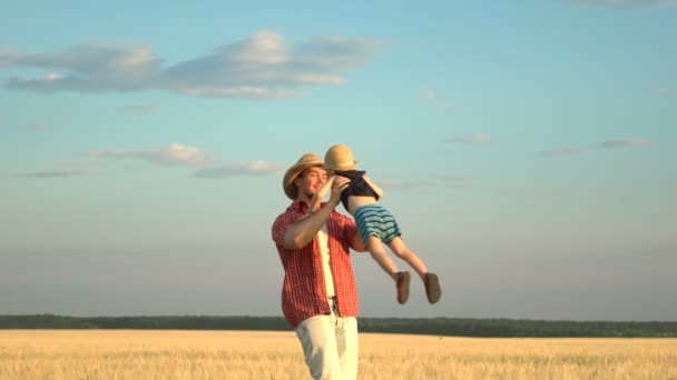 Молодой отец играет с сыном на пшеничном поле — стоковое видео