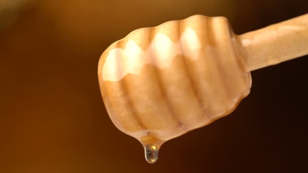 Filmación miel orgánica goteando de fondo de cuchara de miel de madera — Vídeos de Stock