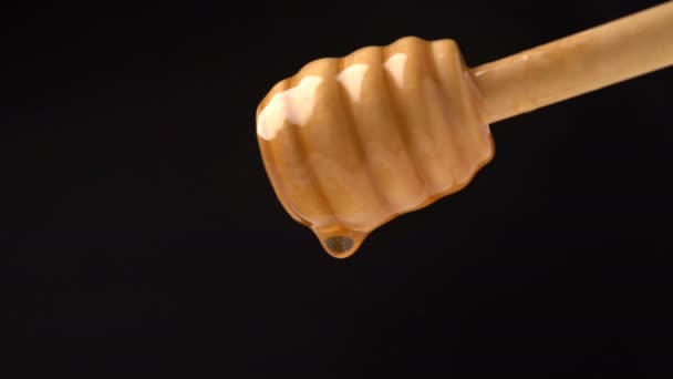 Footage organic honey dripping from wooden honey spoon on black background. — Stock Video