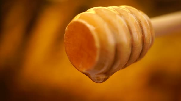 Felvételeket szerves méz csöpögött fából készült méz kanál háttér — Stock videók