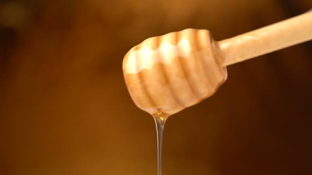 Biologische honing beeldmateriaal druipend uit houten honing lepel achtergrond — Stockvideo