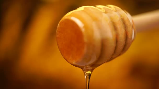 Filmmaterial Bio-Honig tropft aus hölzernen Honiglöffel Hintergrund — Stockvideo