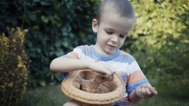 görüntüleri çiftlik çocuğu elinde tutan küçük bir piliç açık.