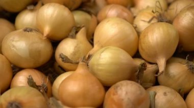 Görüntüleri beyaz soğan döndürme arka plan