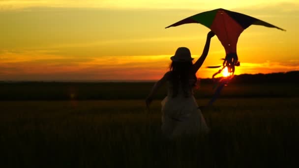 Girl running around with a kite on the field at evening. — Stock Video