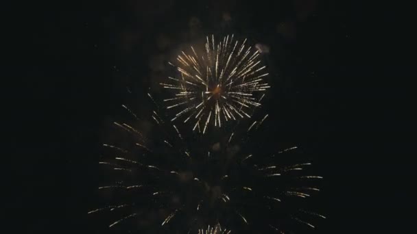 Footage nyår celebration fyrverkerier — Stockvideo