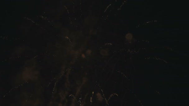 Filmagem Fogos de artifício celebração Ano Novo — Vídeo de Stock