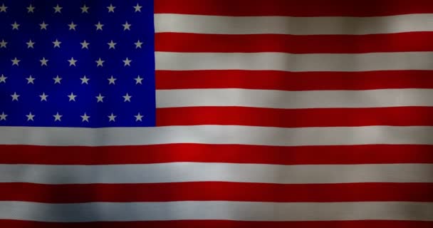 USA vlag stof textuur wuiven in de wind. — Stockvideo