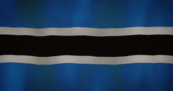 Animación Textura Moderna Bandera Botswana Ondeando Viento Video Bandera Movimiento — Vídeo de stock