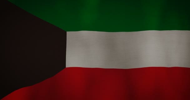 Kuveyt bayrağı kumaş doku rüzgarda sallayarak. — Stok video