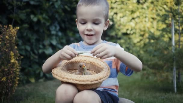 Footage farm boy holding a small chick in the hands outdoor. — Stock Video