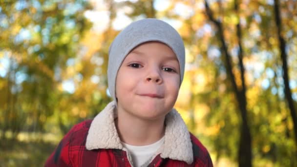 Portret van een gelukkige jongen in het najaar park — Stockvideo