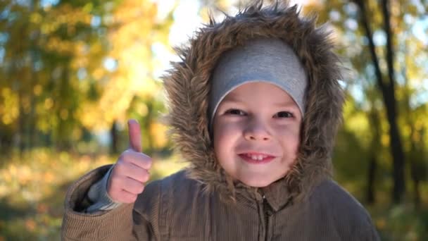 Портрет счастливого мальчика в осеннем парке — стоковое видео