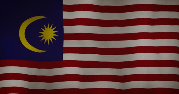 马来西亚国旗织物纹理在风中挥舞 — 图库视频影像