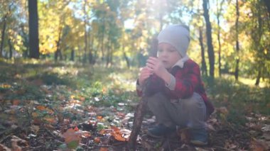 küçük çocuk Sonbahar Park sarı yaprakları ile zeminde oturan bir ağaç dalı ile oynuyor