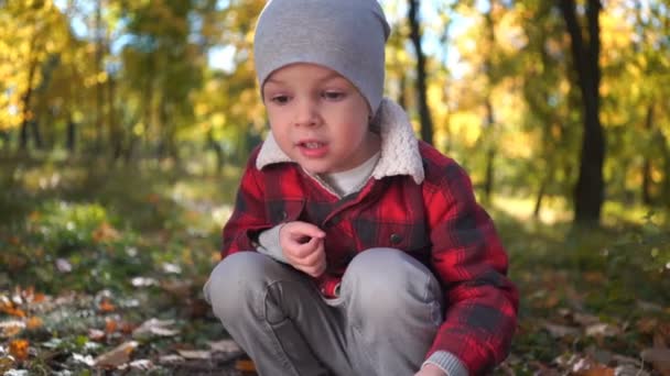 Retrato de un niño feliz en el parque de otoño — Vídeo de stock