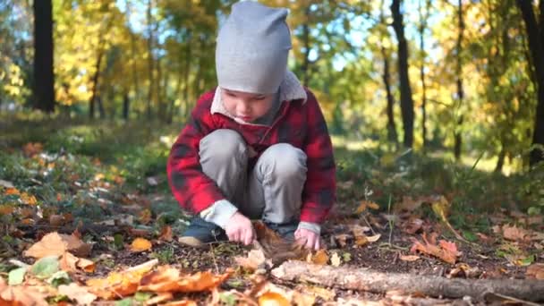Menino está brincando com um galho de árvore sentado no chão com folhas amarelas no parque de outono — Vídeo de Stock