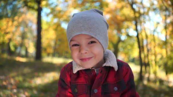 Portræt af en glad dreng i efterårsparken – Stock-video