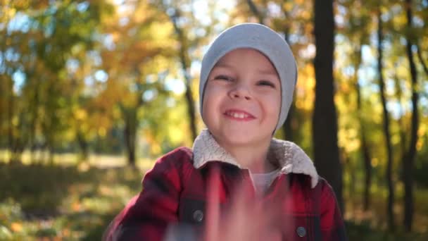 portrait d'un garçon heureux au parc d'automne 