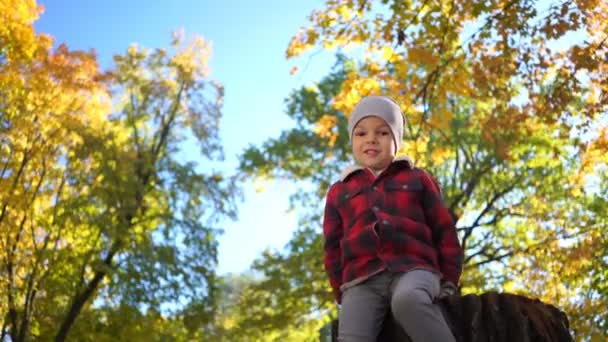 Мальчик играет на деревянном пне и машет рукой перед камерой в осеннем парке — стоковое видео