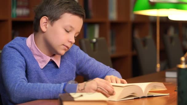 Retrato del colegial haciendo su tarea en la biblioteca o habitación . — Vídeo de stock