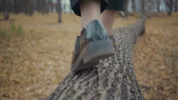 Pies de mujer caminando sobre madera en el bosque — Vídeos de Stock