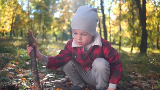 Liten pojke leker med en trädgren som sitter på marken med gula blad i höst park — Stockvideo