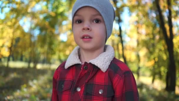 Портрет счастливого мальчика в осеннем парке — стоковое видео