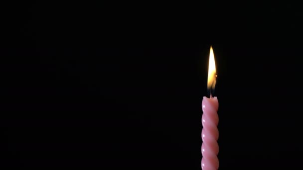 Única vela de aniversário listrada rosa no fundo preto . — Vídeo de Stock