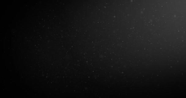 Flying particles of organic dust on a black background — Stock Video