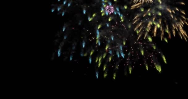 Animation modernes Feuerwerk Hintergrund. — Stockvideo