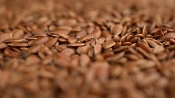 Flax seeds rotating background — Stock Video