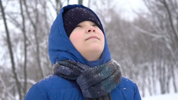 Stående ung tonårspojke njuter av snön i skogen vintern, snön faller — Stockvideo