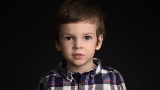 Portrait of little boy looking at camera — Stock Video