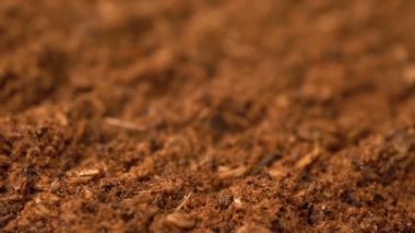 Görüntüleri toz Harissa baharat döndürmek arka plan.