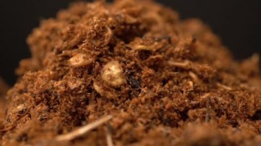 Görüntüleri toz Harissa baharat döndürmek arka plan.