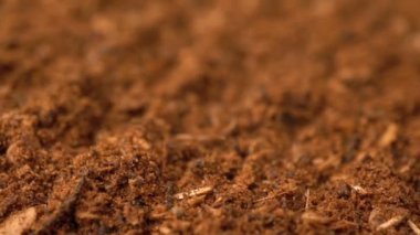 Görüntüleri toz Harissa baharat döndürmek arka plan.