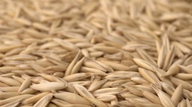 Görüntüleri döndürmek çiğ yulaf closeup arka plan.
