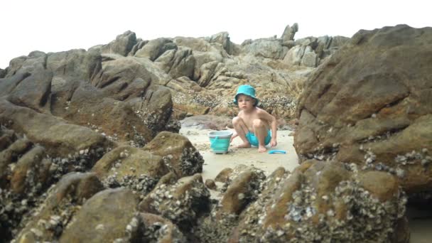 Pequeño niño lindo jugando con arena en el fondo de piedras con conchas — Vídeo de stock