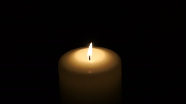 Footage burning candle isolated on a black background. 4k — Stock Video