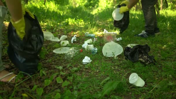 Freiwillige sammeln Plastikmüll im Sommerpark ein. ökologisches Konzept — Stockvideo