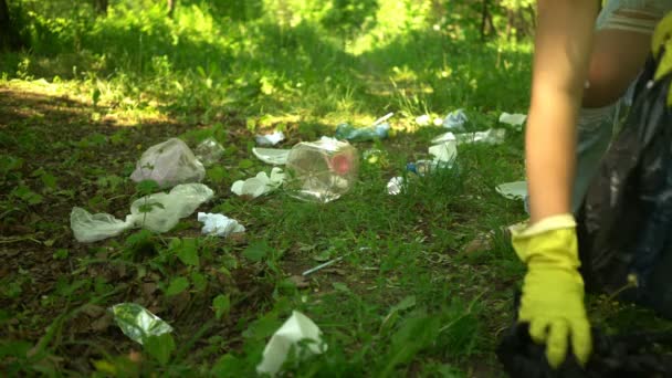 Freiwillige sammeln Plastikmüll im Sommerpark ein. ökologisches Konzept — Stockvideo