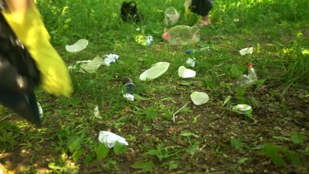 Εθελοντικά σκουπίζω πλαστικά σκουπίδια στο καλοκαιρινό πάρκο. Οικολογία — Αρχείο Βίντεο