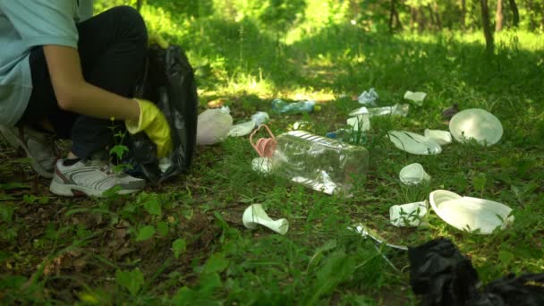Voluntario de recogida de basura de plástico en el parque de verano. Concepto ecológico — Vídeo de stock