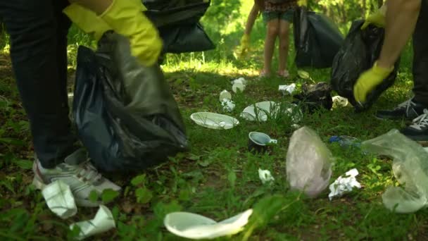 ボランティアは、夏の公園でプラスチックゴミを清掃します。エコロジーコンセプト — ストック動画